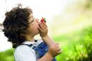 Junge mit Erdbeere. BIOLOGISCH Catering für Schulen &amp; Kitas